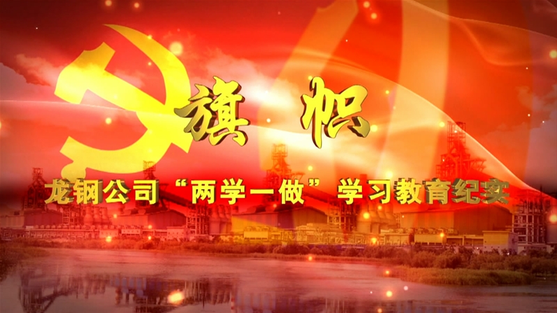 龍鋼公司“兩學(xué)一做”學(xué)習(xí)教育紀實